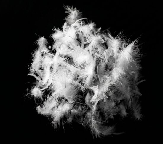 Feather mix 50/50, 100g